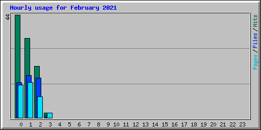 Hourly usage for February 2021
