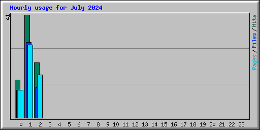 Hourly usage for July 2024