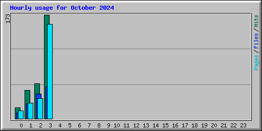 Hourly usage for October 2024