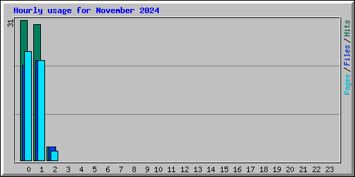 Hourly usage for November 2024