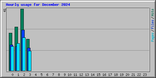 Hourly usage for December 2024