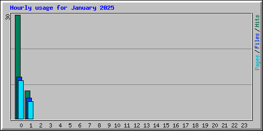 Hourly usage for January 2025