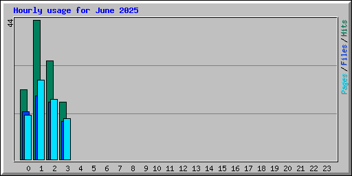 Hourly usage for June 2025