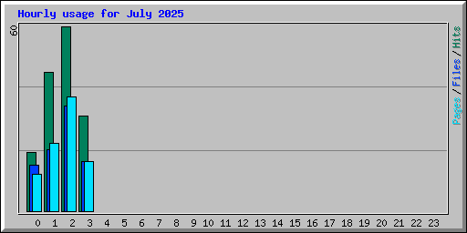 Hourly usage for July 2025