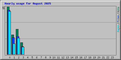Hourly usage for August 2025