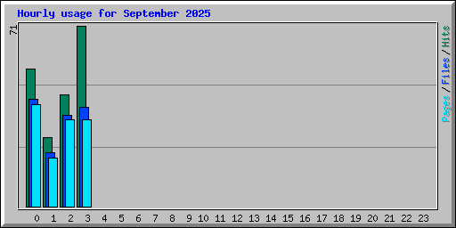 Hourly usage for September 2025