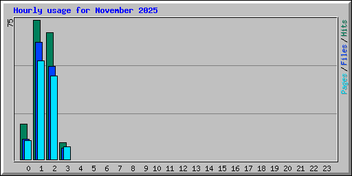 Hourly usage for November 2025