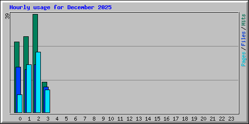 Hourly usage for December 2025