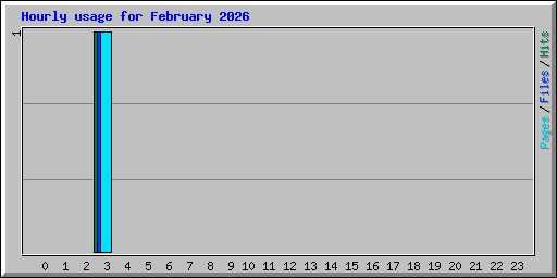 Hourly usage for February 2026