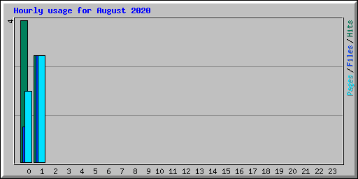 Hourly usage for August 2020