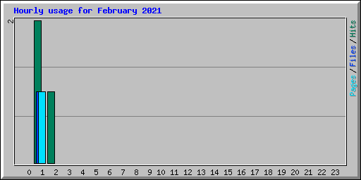 Hourly usage for February 2021