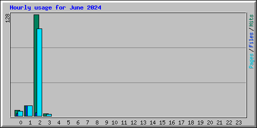 Hourly usage for June 2024