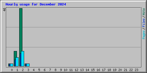 Hourly usage for December 2024