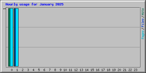 Hourly usage for January 2025