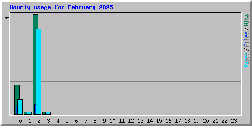 Hourly usage for February 2025