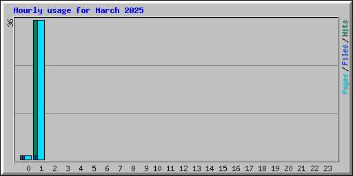 Hourly usage for March 2025