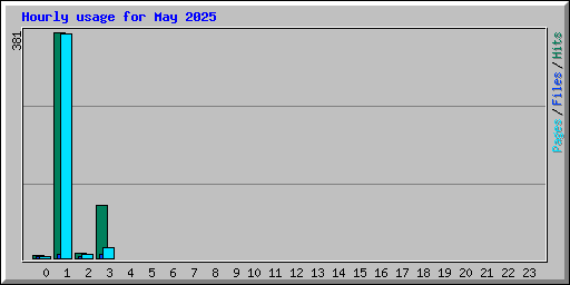 Hourly usage for May 2025