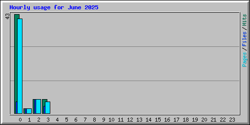 Hourly usage for June 2025