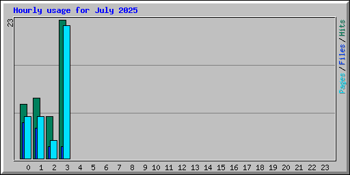 Hourly usage for July 2025